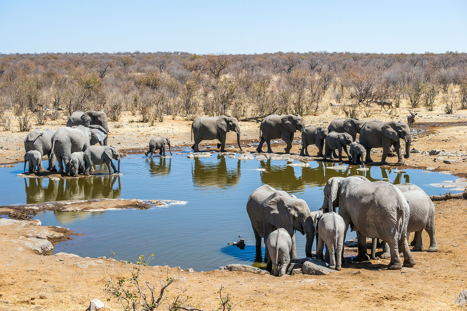 Etosha National Park Namibia, Luxussafari Namibia, Rundreise in Namibia