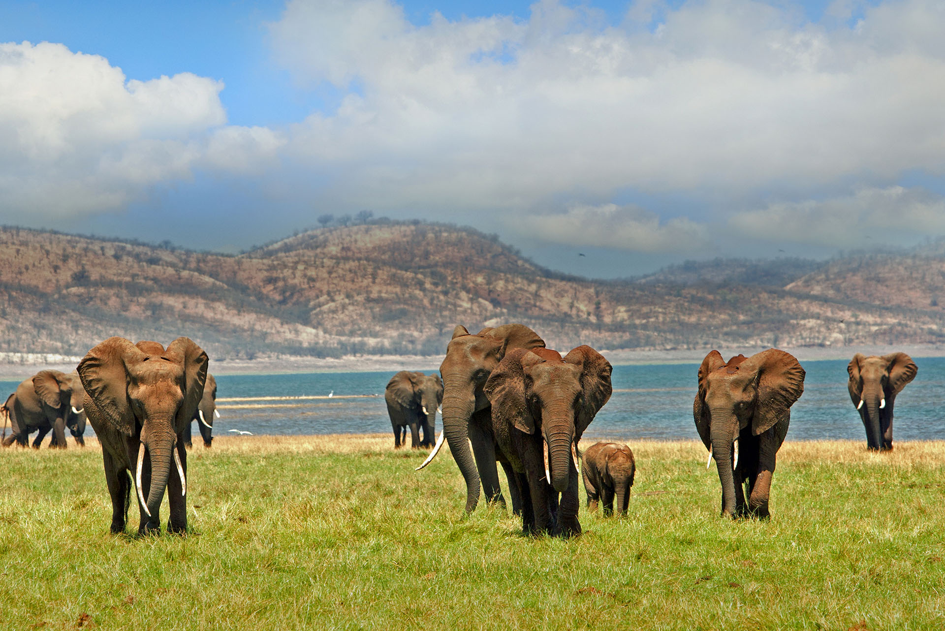 Abenteuerreisen & Erlebnisreisen: Lake Kariba Simbabwe