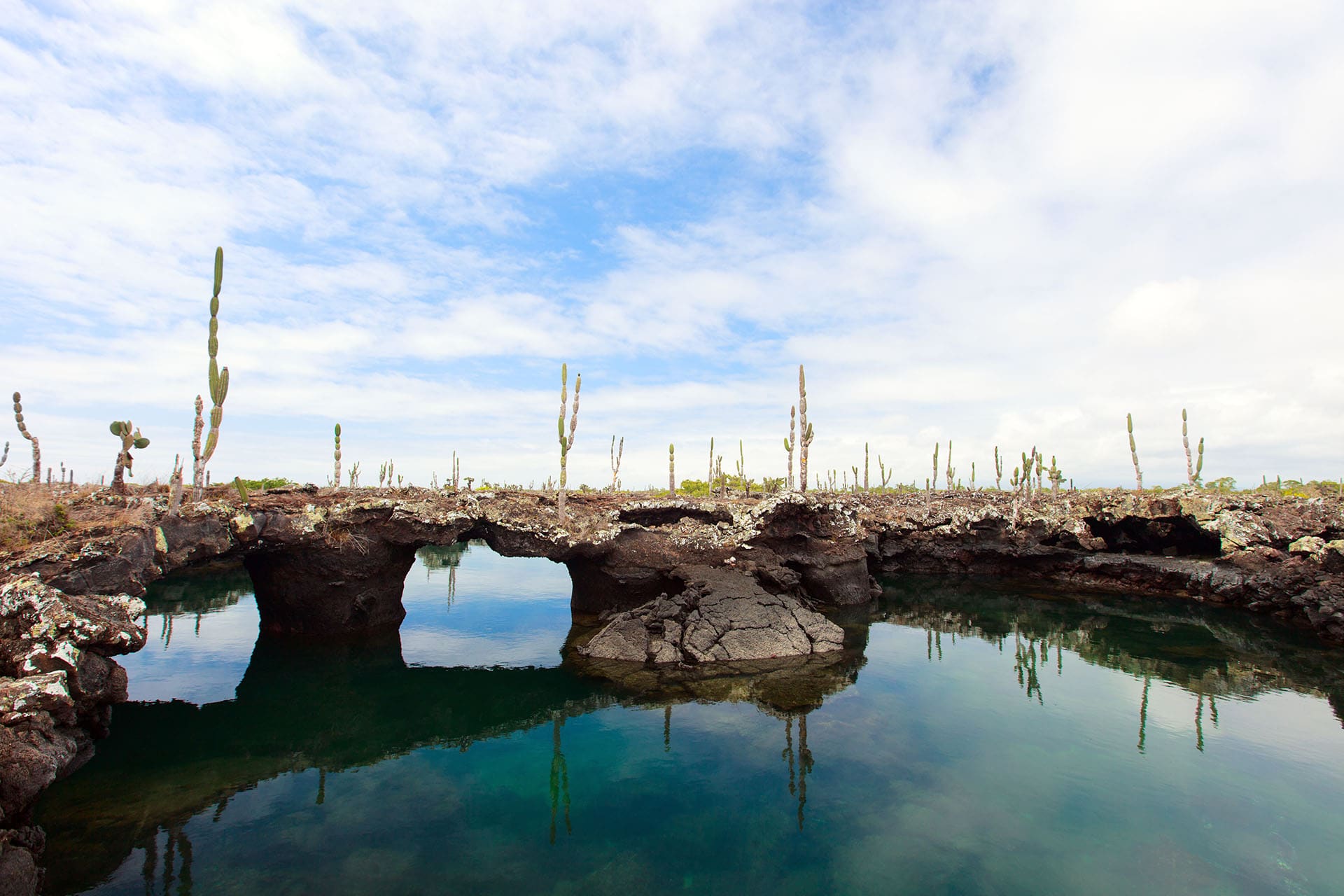 Isla Isabela Galapagos, Insel Isabela, Isabela Galapagos, Rundreise ECUADOR , individuelle Rundreise ECUADOR, Mietwagenrundreise ECUADOR, Reise ECUADOR, erlebe ECUADOR, Selbstfahrer ECUADOR, Kleingruppenreise ECUADOR, ECUADOR auf eigene Faust, Gruppenreise ECUADOR, Urlaub in ECUADOR, Ferien in ECUADOR, Familienreise ECUADOR, Flitterwochen ECUADOR, Hochzeitsreise ECUADOR