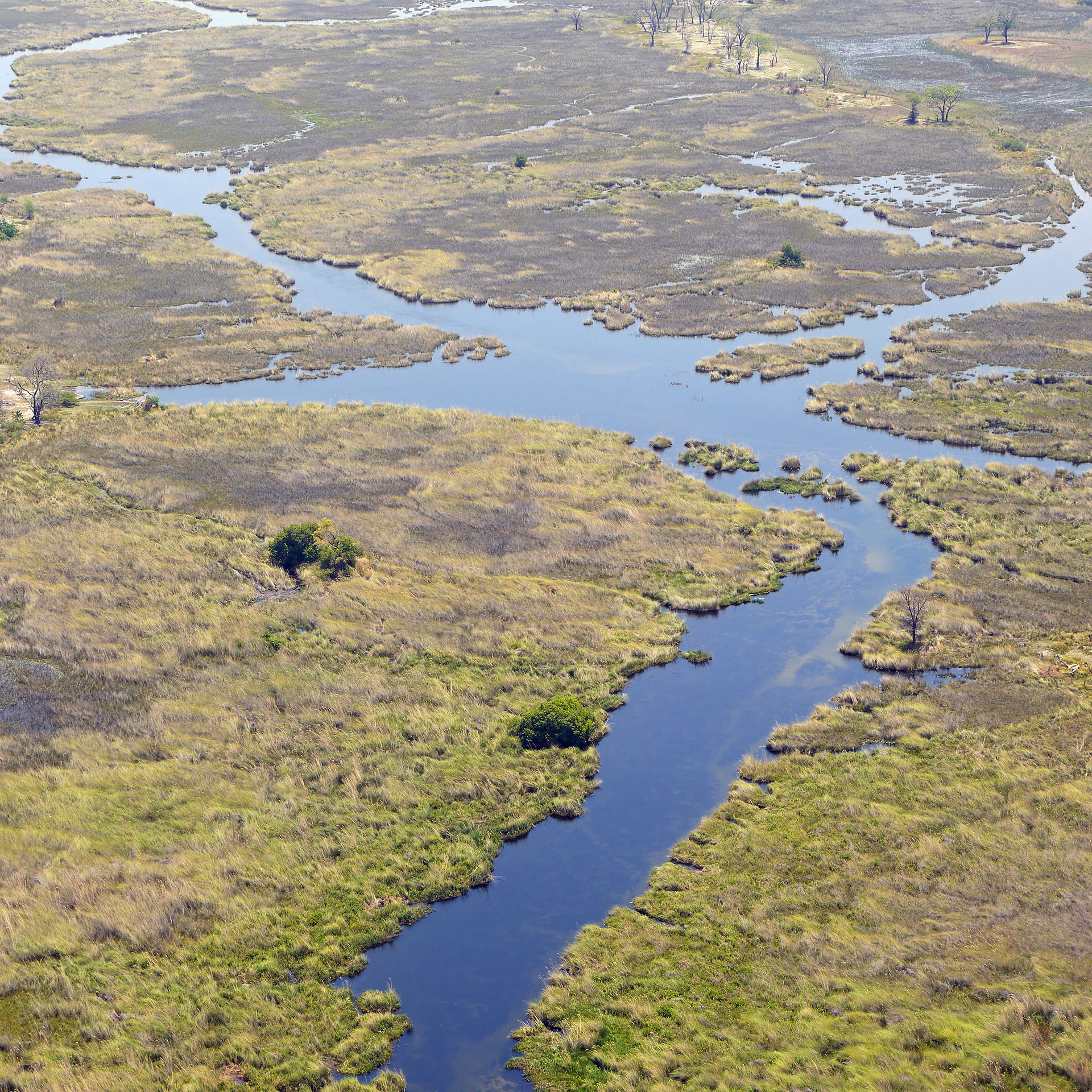 Top Reiseziele: Okavango Delta