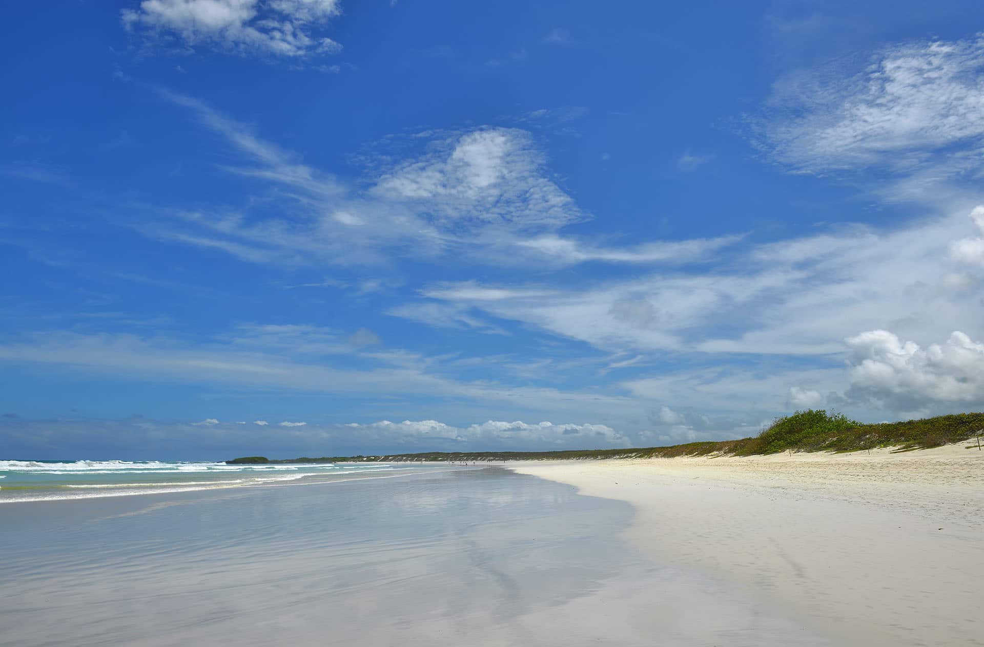 Rundreise ECUADOR , individuelle Rundreise ECUADOR, Mietwagenrundreise ECUADOR, Reise ECUADOR, erlebe ECUADOR, Selbstfahrer ECUADOR, Kleingruppenreise ECUADOR, ECUADOR auf eigene Faust, Gruppenreise ECUADOR, Urlaub in ECUADOR, Ferien in ECUADOR, Familienreise ECUADOR, Flitterwochen ECUADOR, Hochzeitsreise ECUADOR