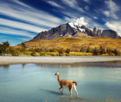 Patagonien (2)