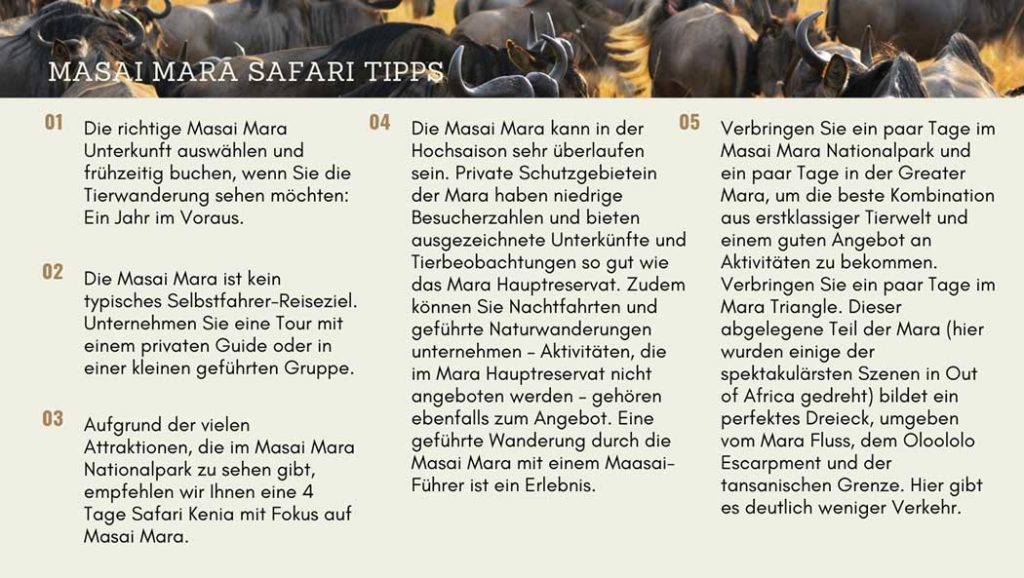 Infografik Masai Mara Flitterwochen-Safari Tipps