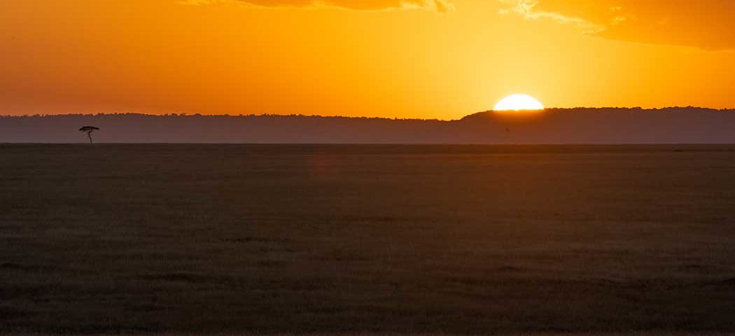 Wunderschöner Sonnenuntergang in der Masai Mara während einer Kenia Safari Rundreise
