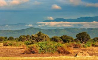 Uganda Safari Reise im Queen Elizabeth Nationalpark