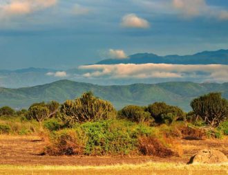 Uganda Safari Reise im Queen Elizabeth Nationalpark