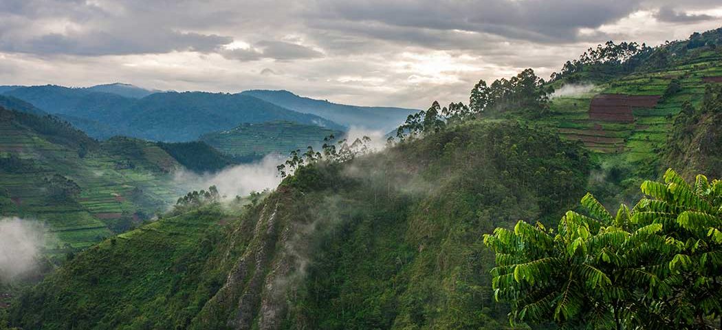 Bwindi Impenetrable National Park