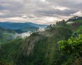 Bwindi Impenetrable National Park Bwindi Impenetrable National Park