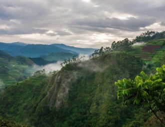 Bwindi Impenetrable National Park