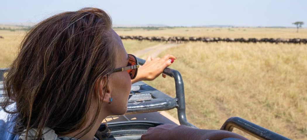 Frau schaut bei einer Kenia Safari Reise aus dem Fahrzeug auf eine Gnu Herde in der Masai Mara