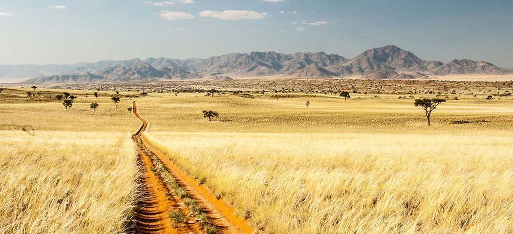 Namib Wüste auf einer Namibia Safari Rundreise