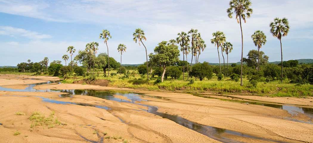 Tansania Safari Reisen mit einem Traumstrand im Ruaha Nationalpark verbinden