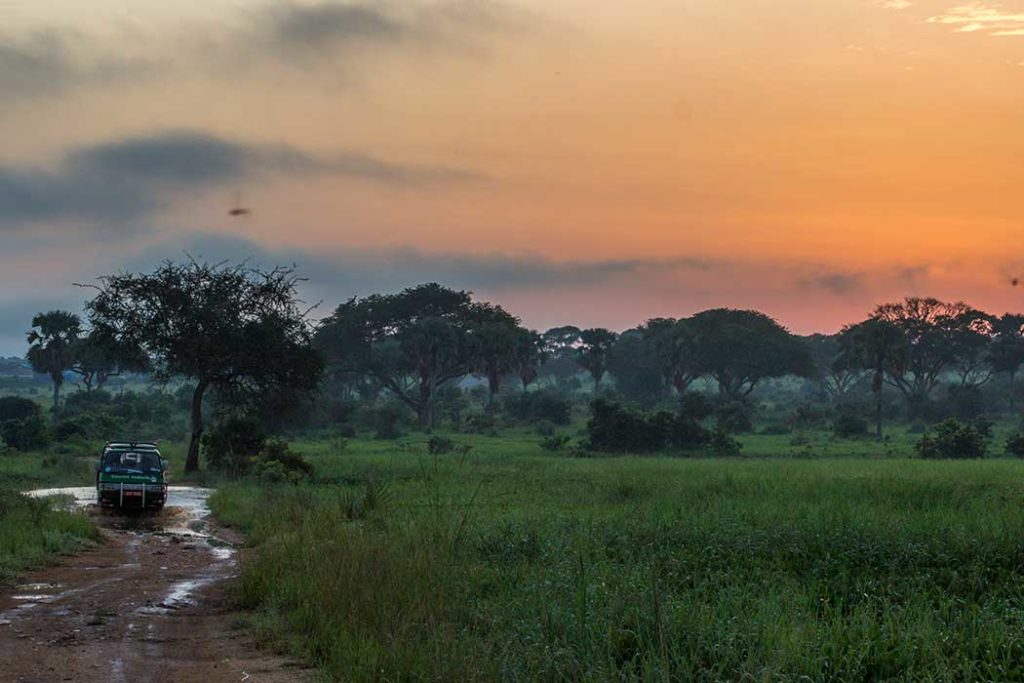 Fahrt durch den Wald mit einem Safari Jeep während Uganda Reisen im Murchison Falls Nationalpark