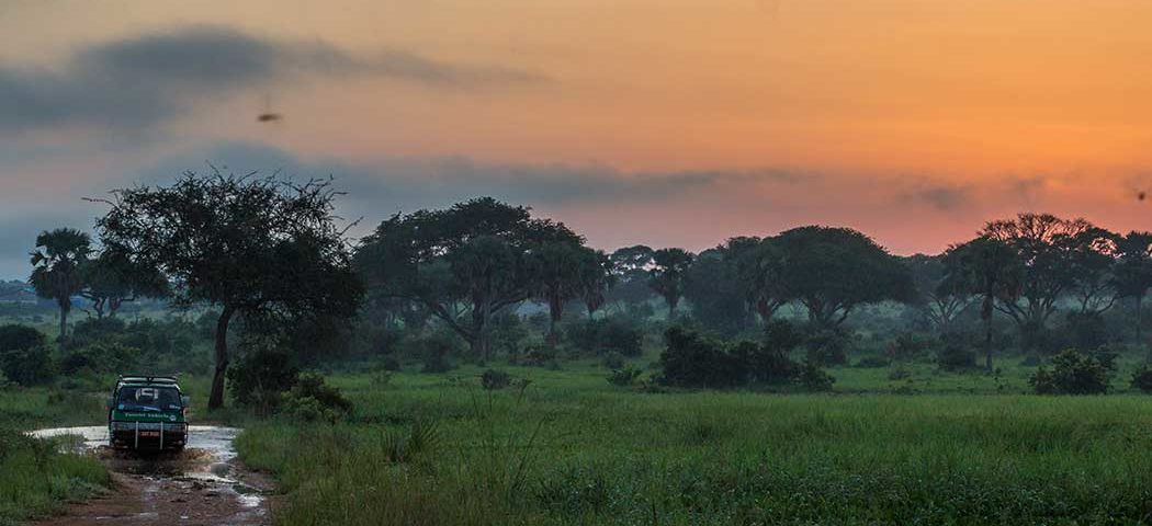 Fahrt durch den Wald mit einem Safari Jeep während einer Uganda Safari Reise im Murchison Falls Nationalpark