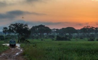 Fahrt durch den Wald mit einem Safari Jeep während einer Uganda Safari Reise im Murchison Falls Nationalpark