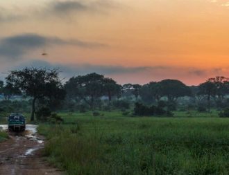 Fahrt durch den Wald mit einem Safari Jeep während einer Uganda Safari Reise im Murchison Falls Nationalpark