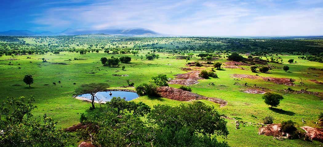 Wunderschöne Landschaft der Serengeti während einer Tansania Safari Reise