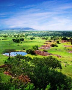Wunderschöne Landschaft der Serengeti während einer Tansania Safari Reise