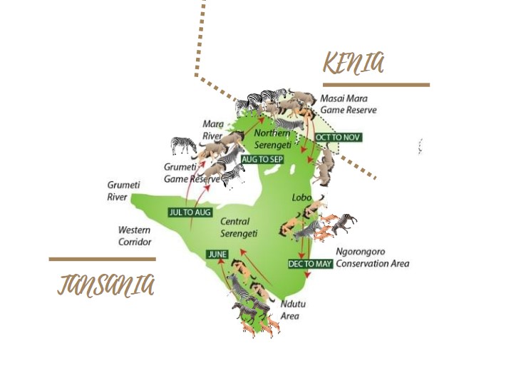 Die große Tierwanderung in der Serengeti & Masai Mara: Reiseroute