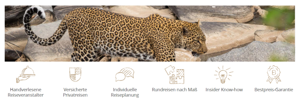 Beste Reisezeit Namibia: Tierbeobachtungen in der Trocken- & Regenzeit