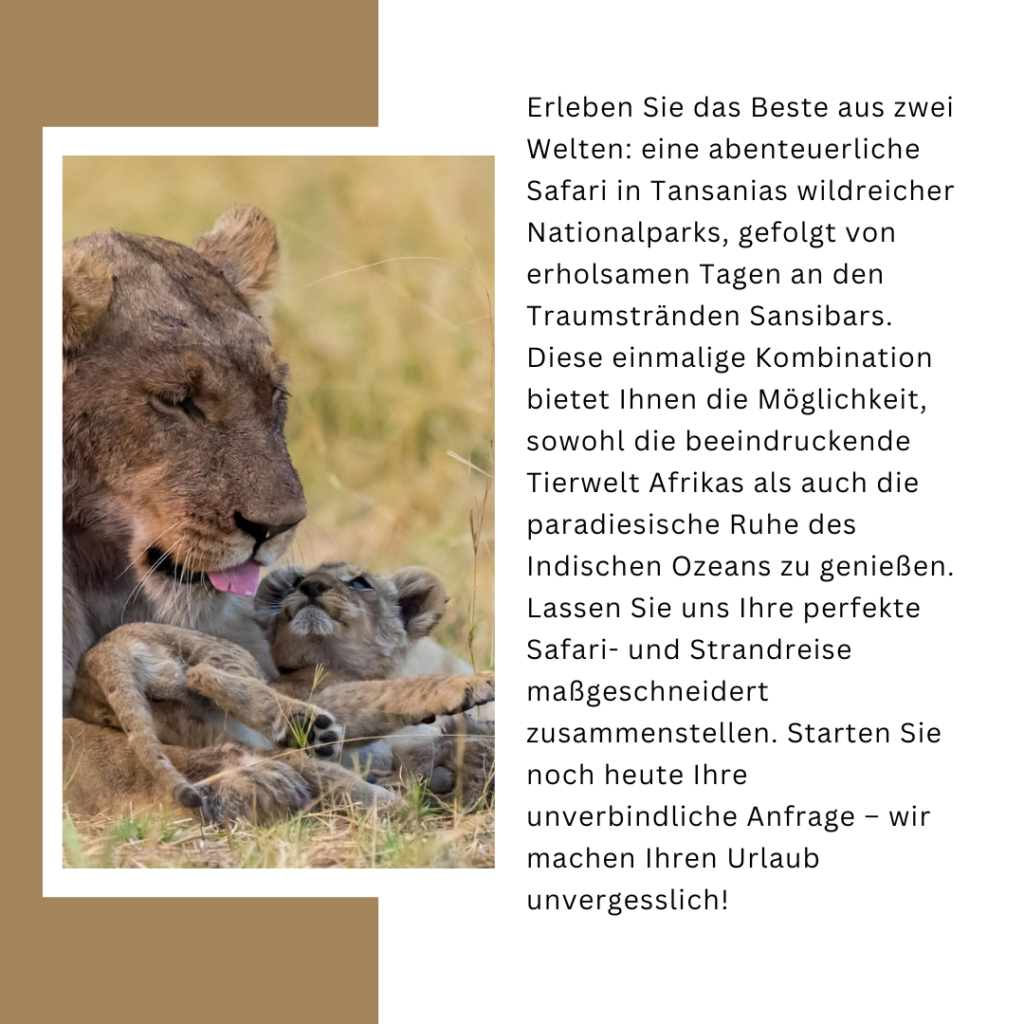 Beige Weiß Elegant Minimalist Über Mich Instagram Post (5)